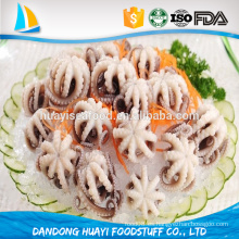 High quality frozen octopus para la venta